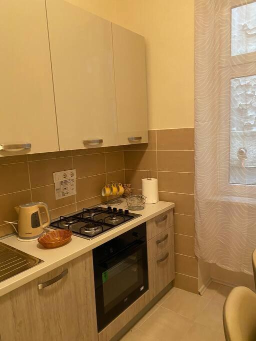 Apartman Elli 萨格勒布 外观 照片