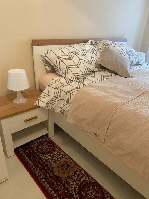 Apartman Elli 萨格勒布 外观 照片
